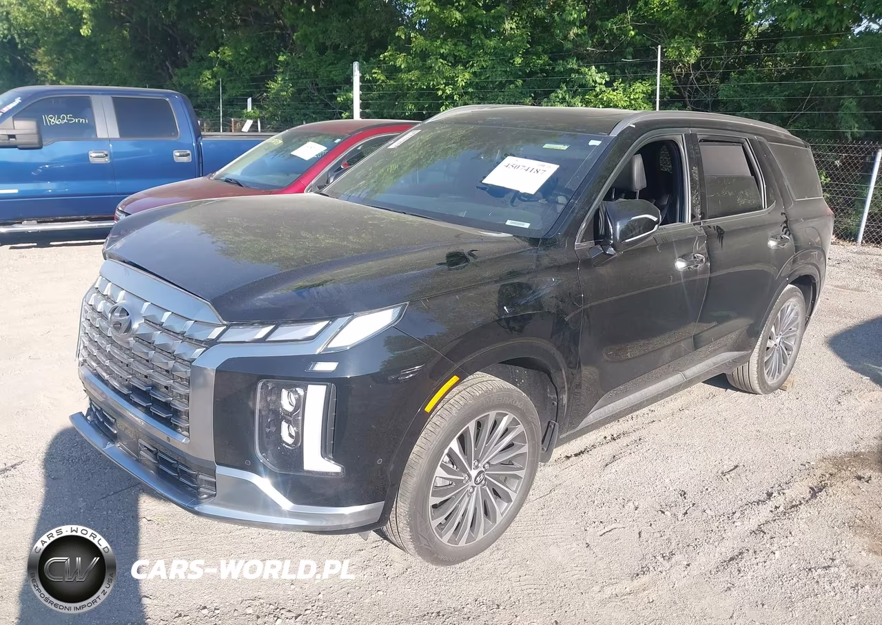 2025 Hyundai Palisade Calligraphy VIN:KM8R7DGE7SU815752 - 2