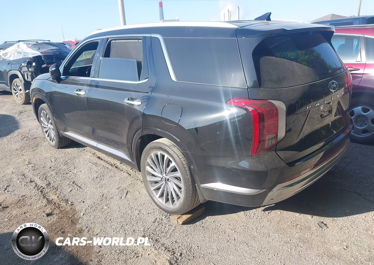 2025 Hyundai Palisade Calligraphy VIN:KM8R7DGE7SU815752 - 3
