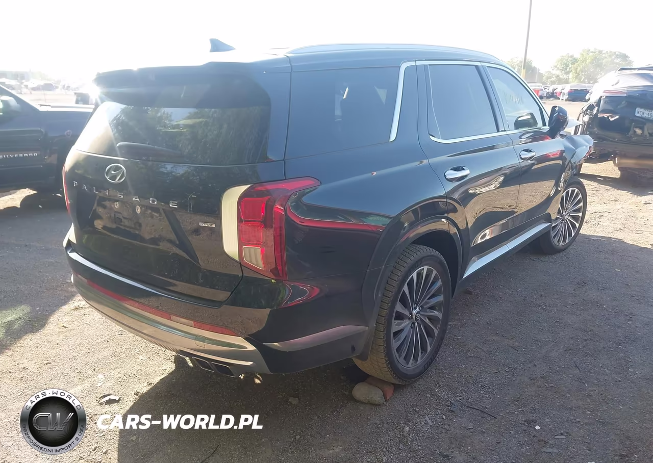 2025 Hyundai Palisade Calligraphy VIN:KM8R7DGE7SU815752 - 4