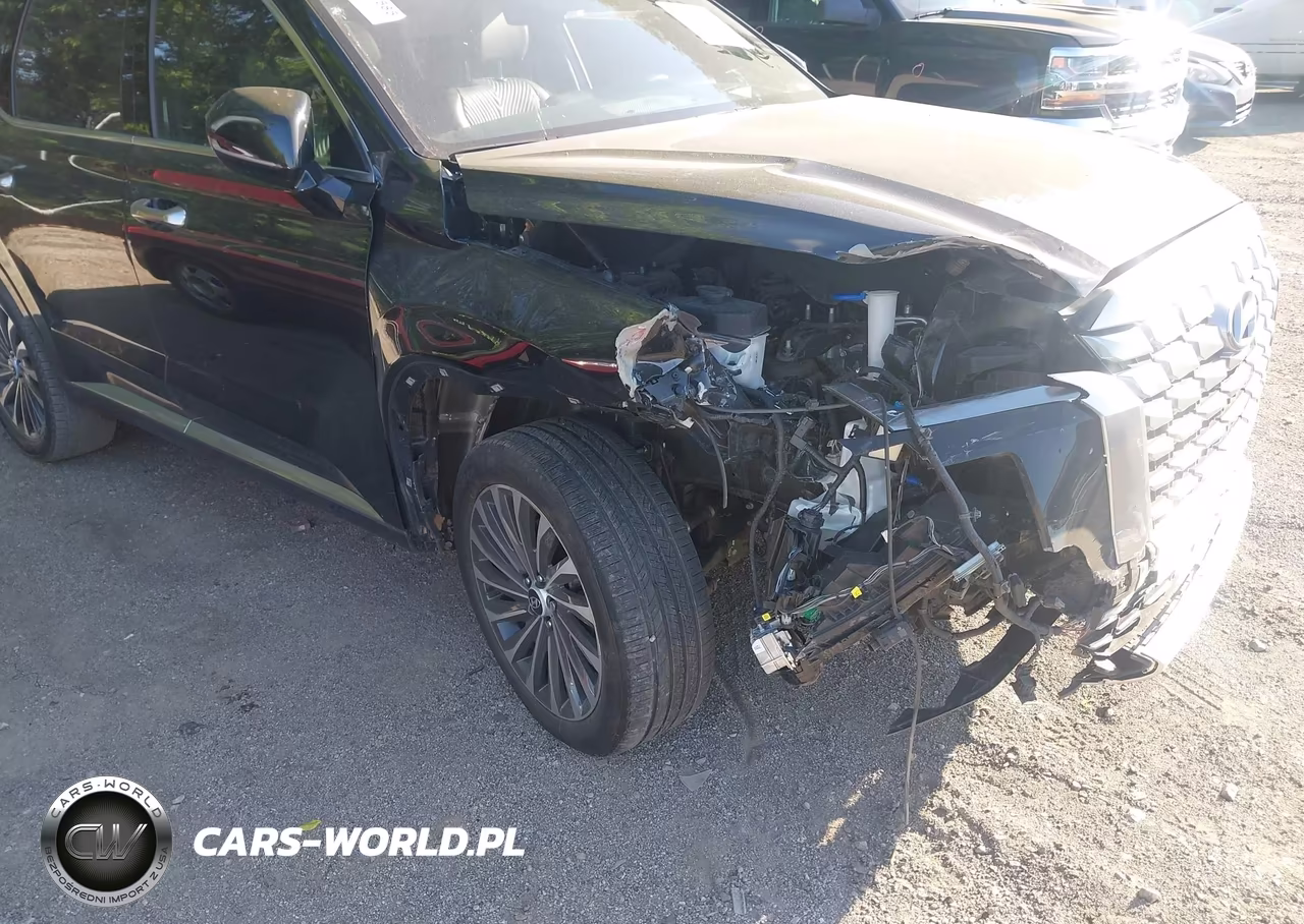 2025 Hyundai Palisade Calligraphy VIN:KM8R7DGE7SU815752 - 6