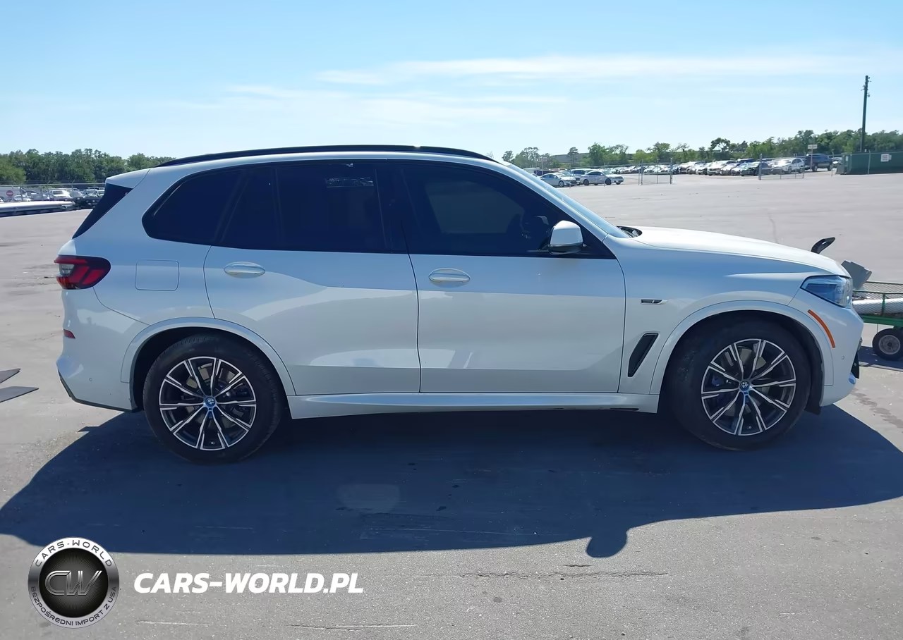 2023 BMW X5 Phev xDrive45E VIN:5UXTA6C05P9N44359 - 13