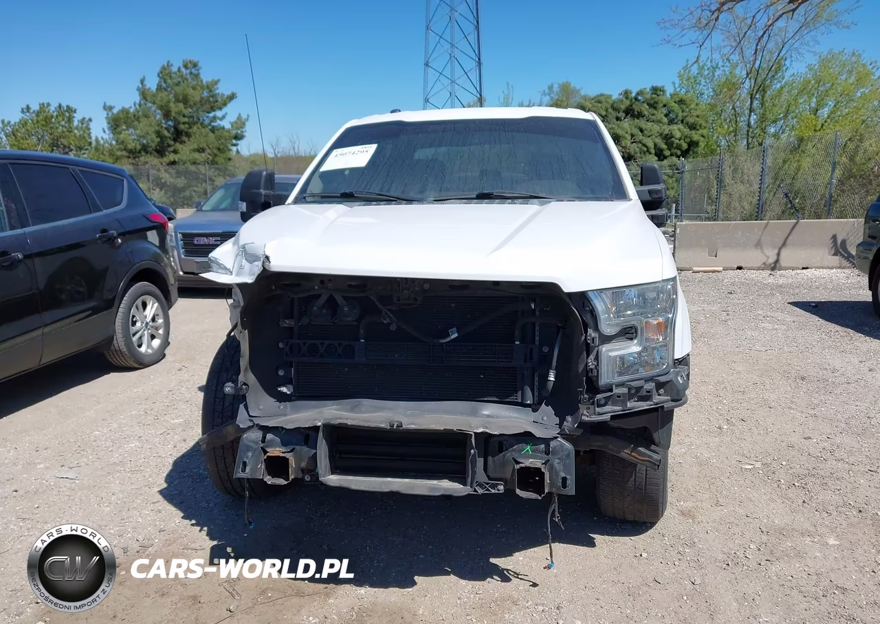 2016 Ford F-150 Xlt VIN:1FTEW1CP1GKE10744 - 11