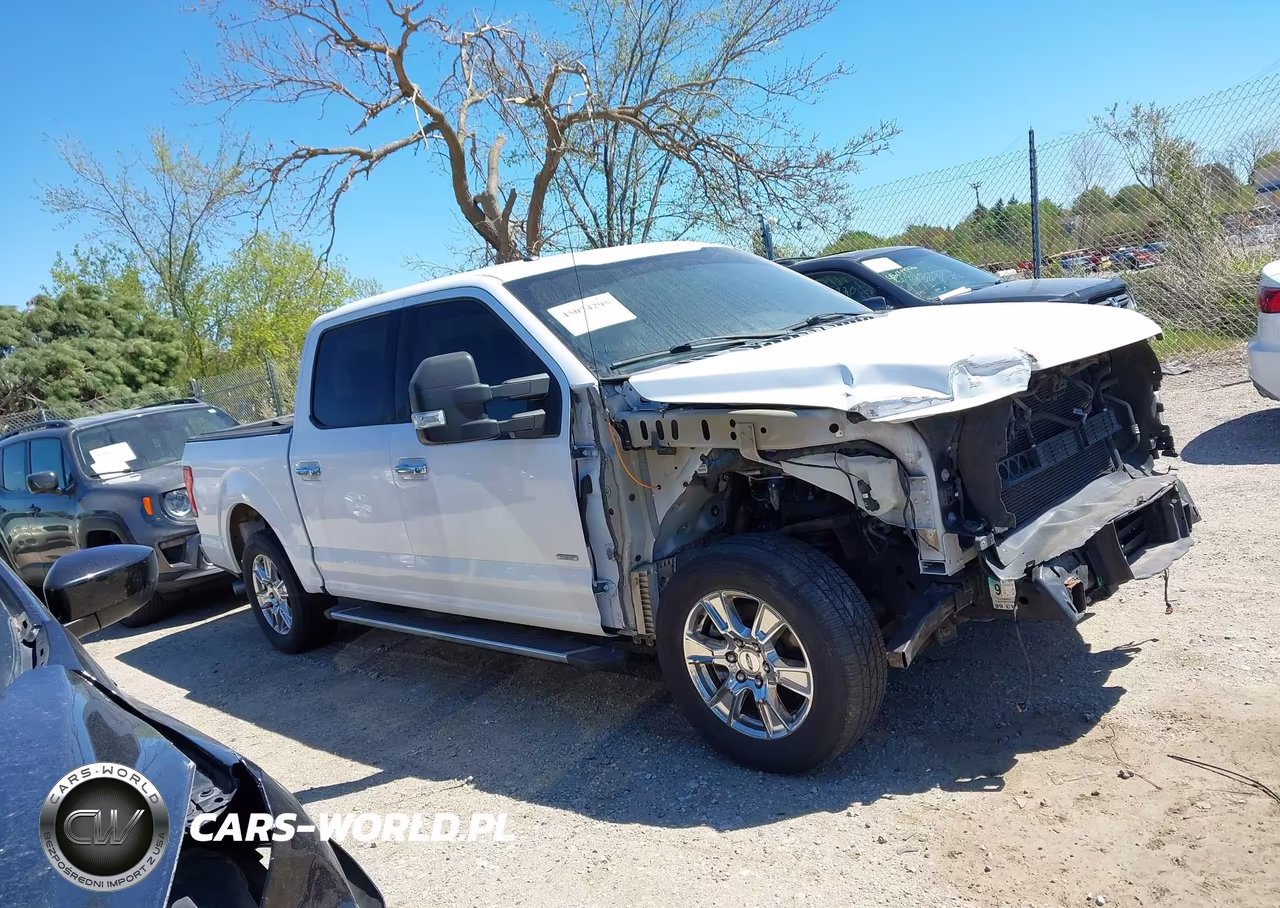 2016 Ford F-150 Xlt VIN:1FTEW1CP1GKE10744 - 12