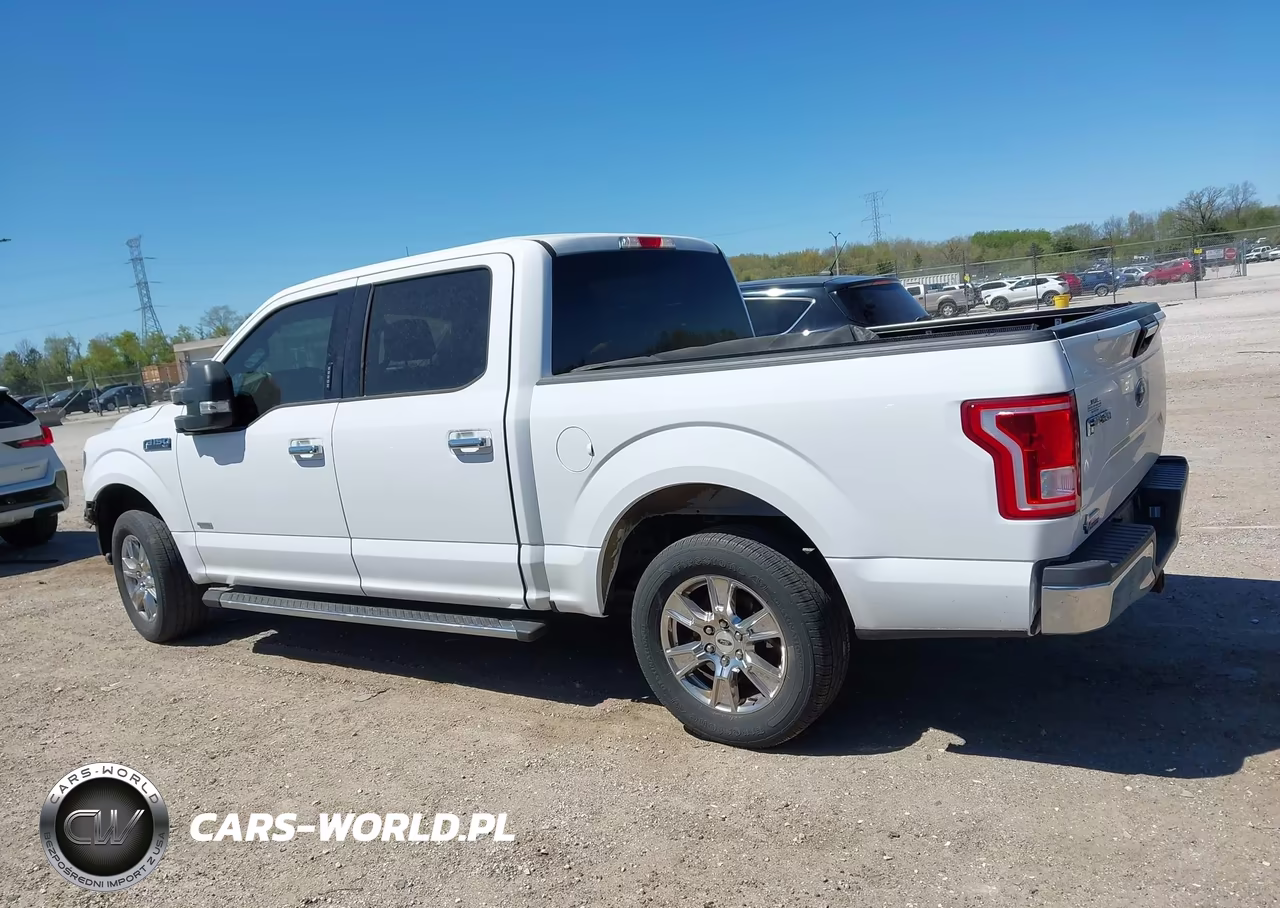 2016 Ford F-150 Xlt VIN:1FTEW1CP1GKE10744 - 13