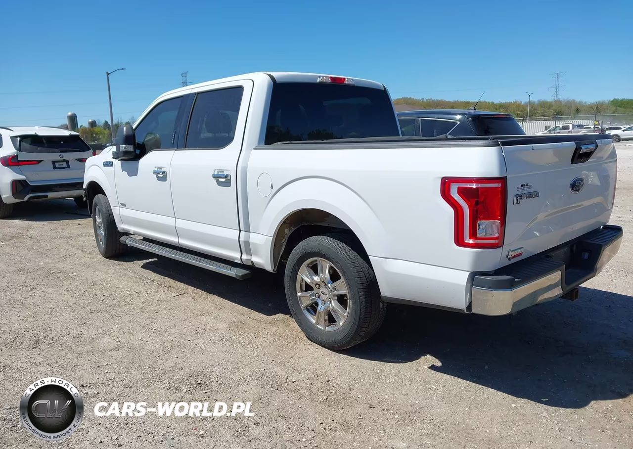 2016 Ford F-150 Xlt VIN:1FTEW1CP1GKE10744 - 3