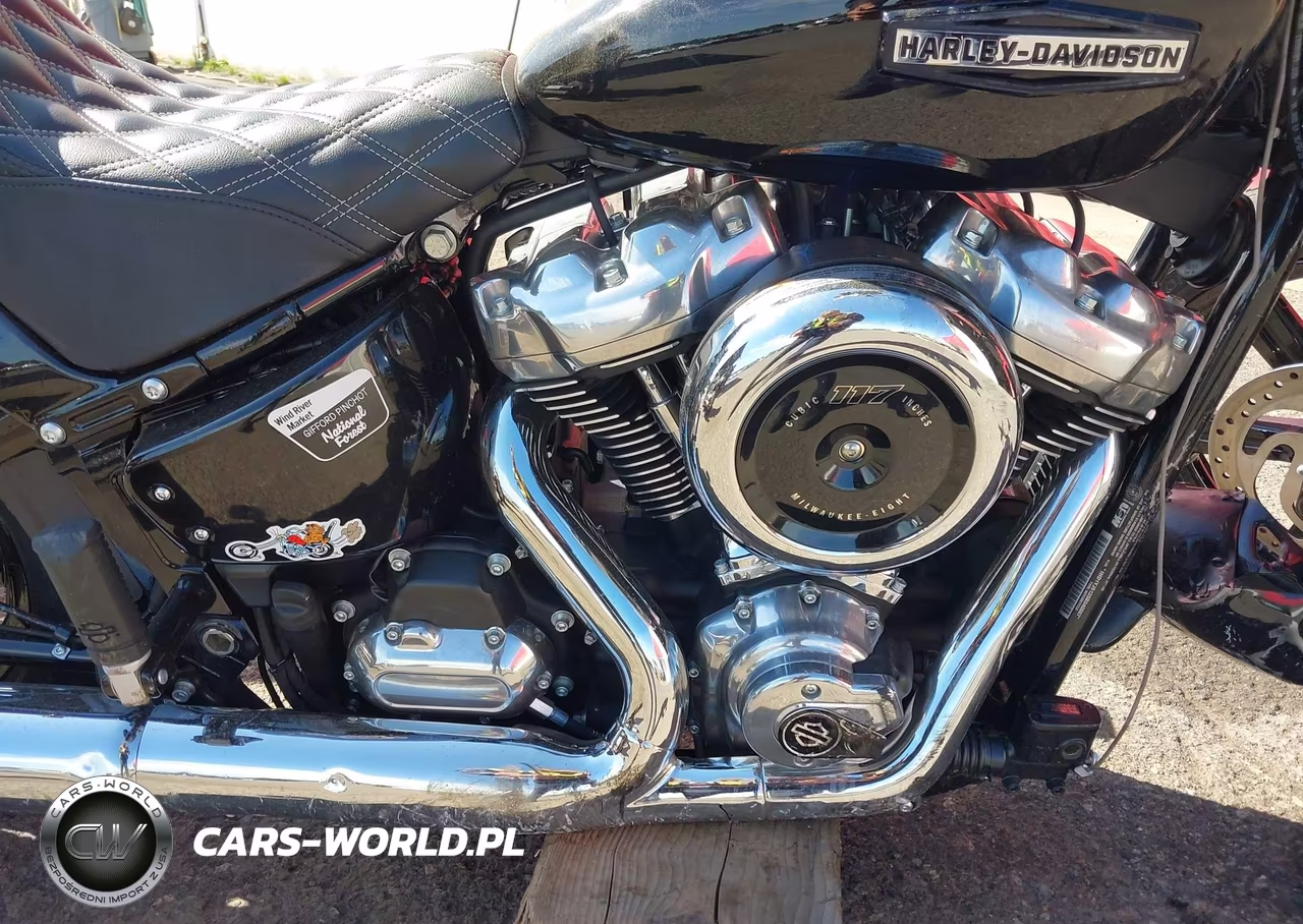 2025 Harley-Davidson Fxbb VIN:1HD1YJ913SB040867 - 8