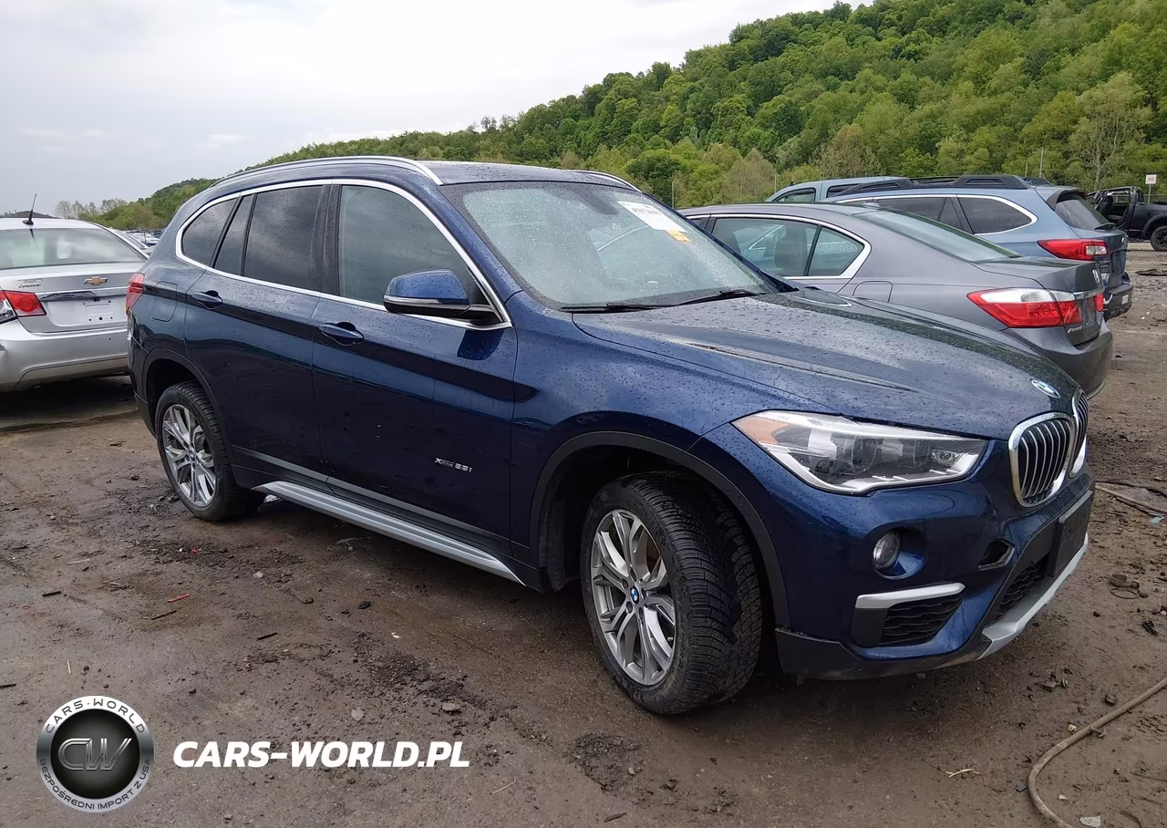 2018 BMW X1 xDrive28I – zdjęcie 1 z 17