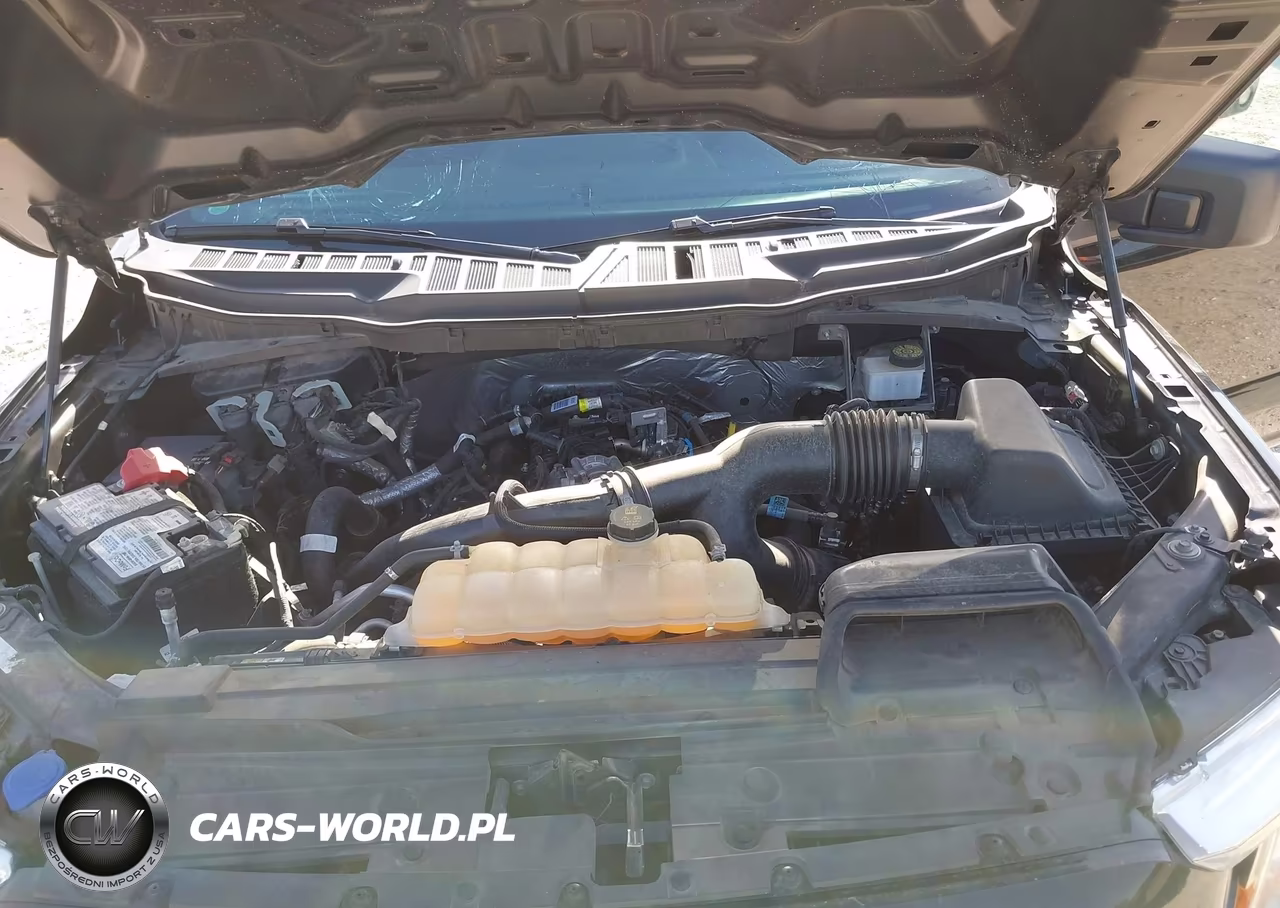 2021 Ford F-150 Xl VIN:1FTEW1EP1MFA69976 - 10
