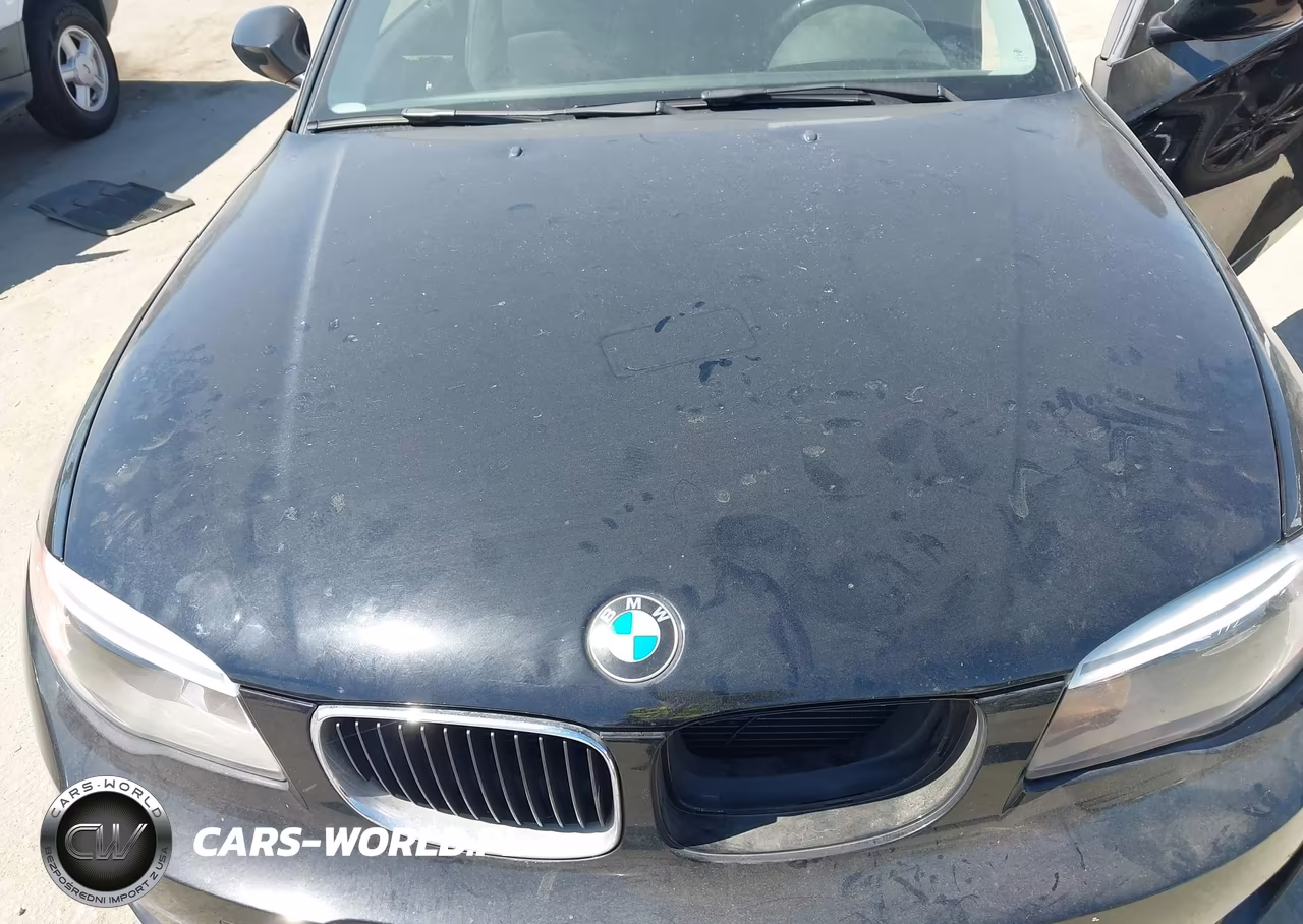2013 BMW 128I VIN:WBAUP9C56DVS95832 - 10