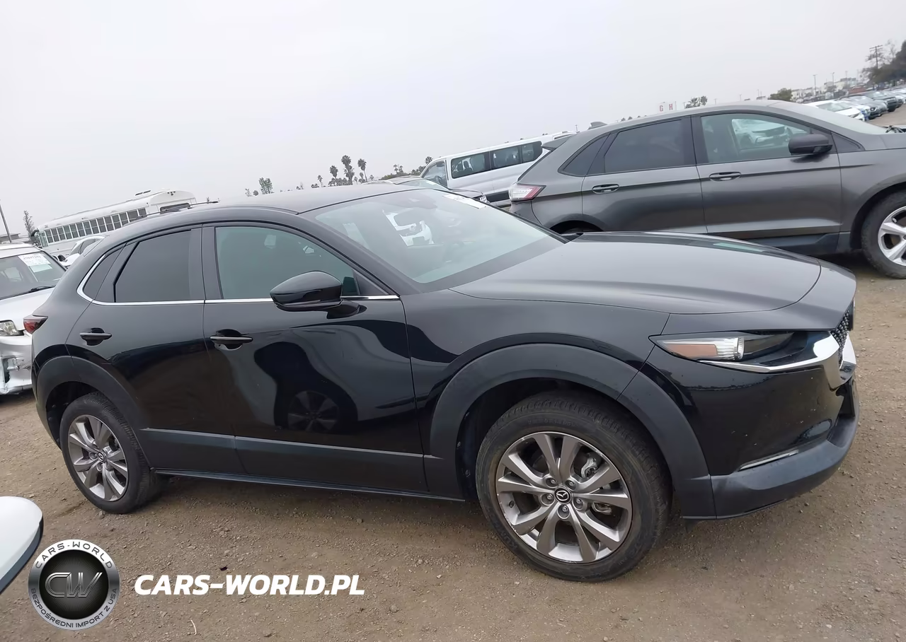 2020 Mazda Cx-30 Preferred Package VIN:3MVDMADL2LM130636 - 13