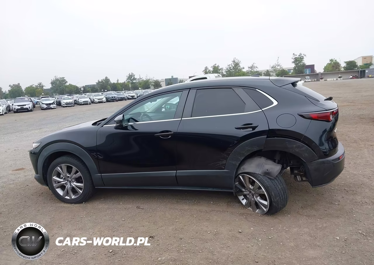 2020 Mazda Cx-30 Preferred Package VIN:3MVDMADL2LM130636 - 14