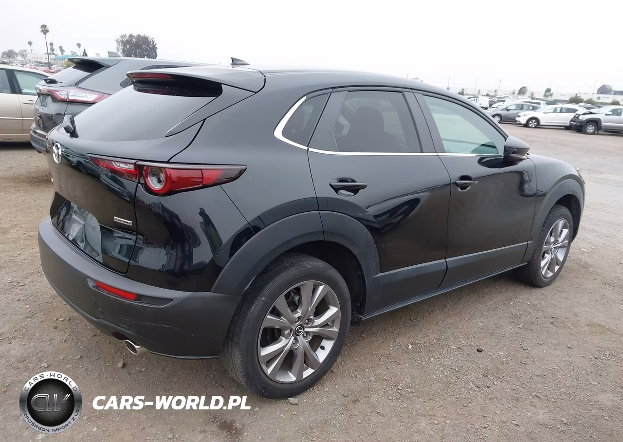 2020 Mazda Cx-30 Preferred Package VIN:3MVDMADL2LM130636 - 4