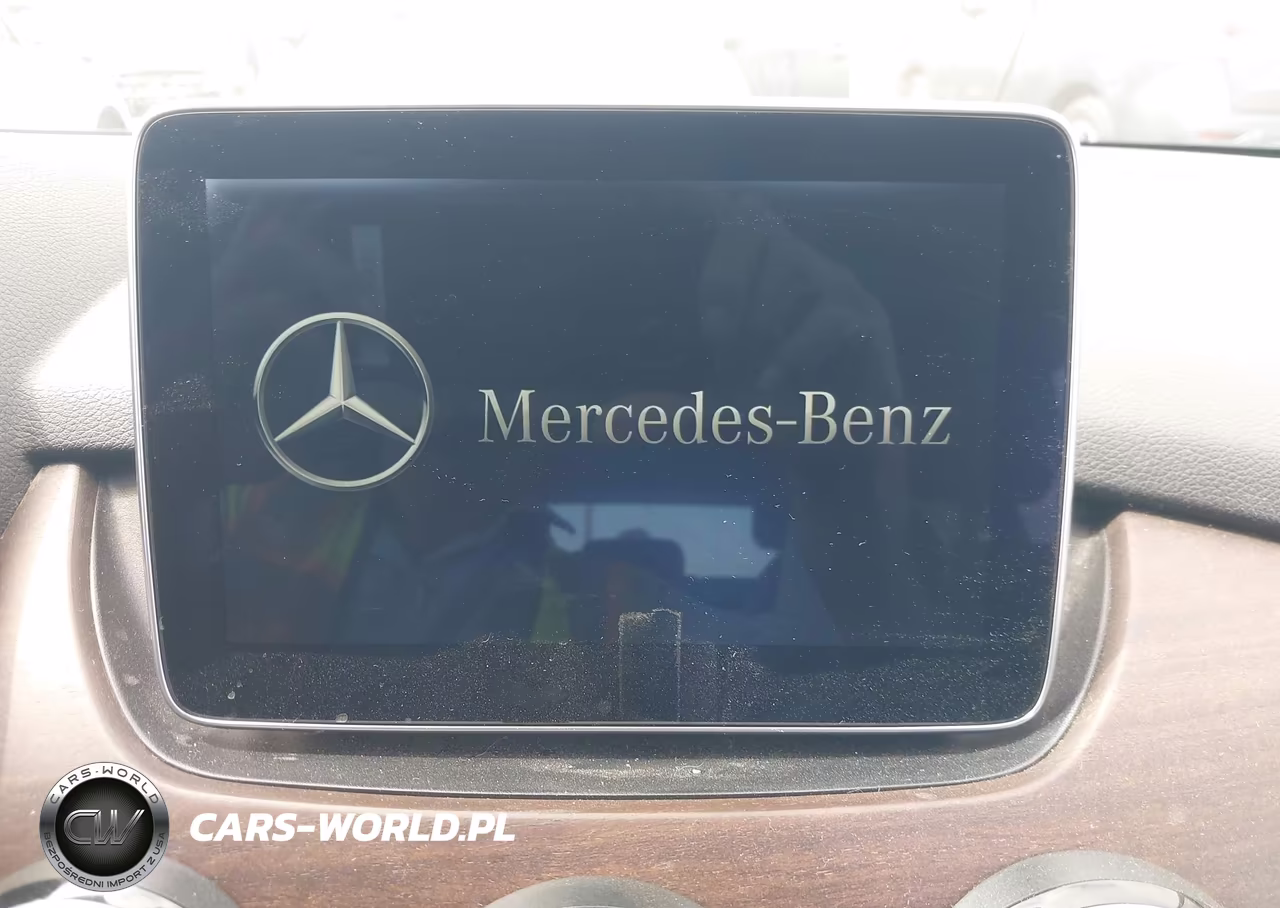 2015 Mercedes-Benz B-Class Electric Drive VIN:WDDVP9AB1FJ006470 - 14
