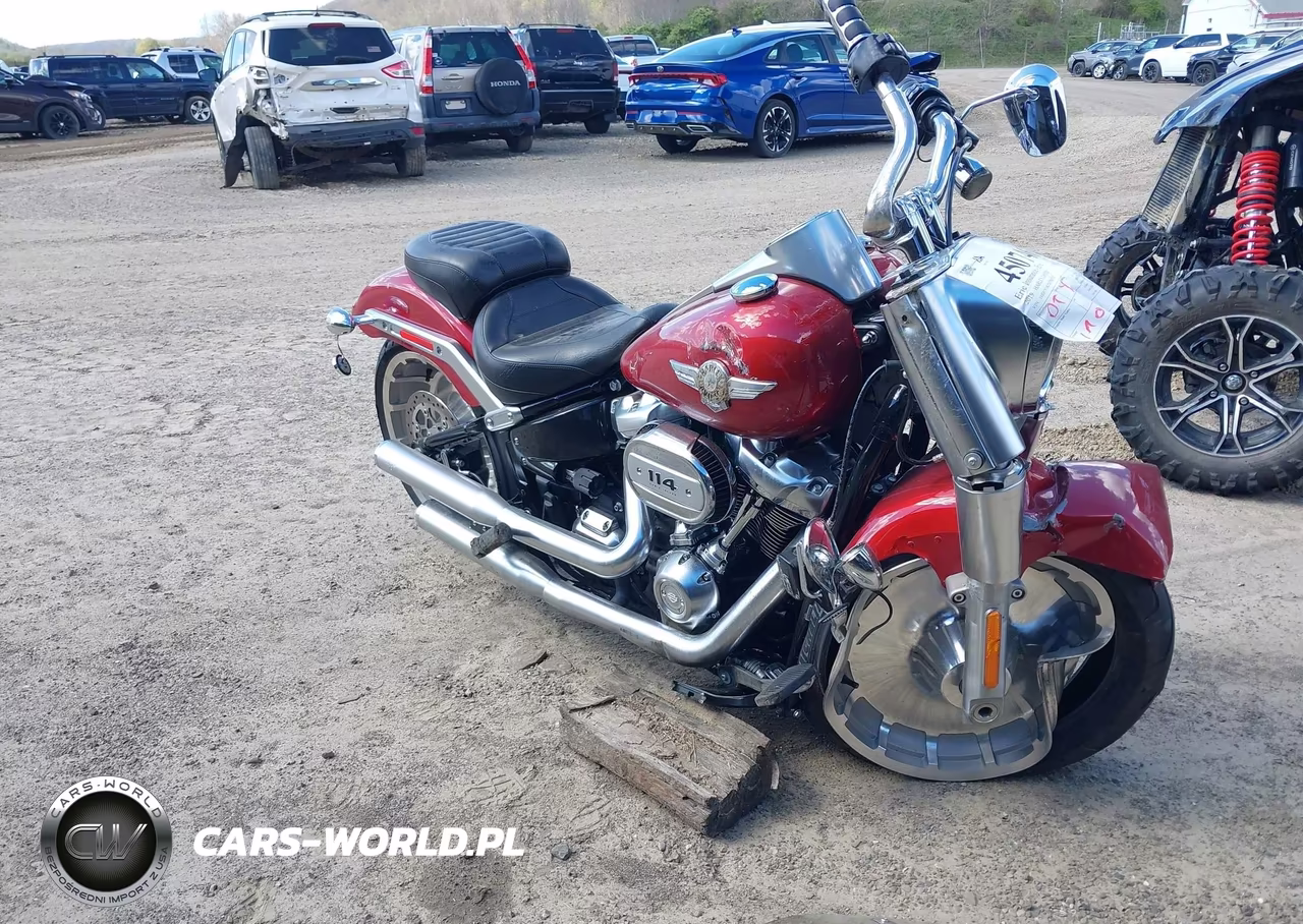 2019 Harley-Davidson Flfbs – zdjęcie 1 z 14