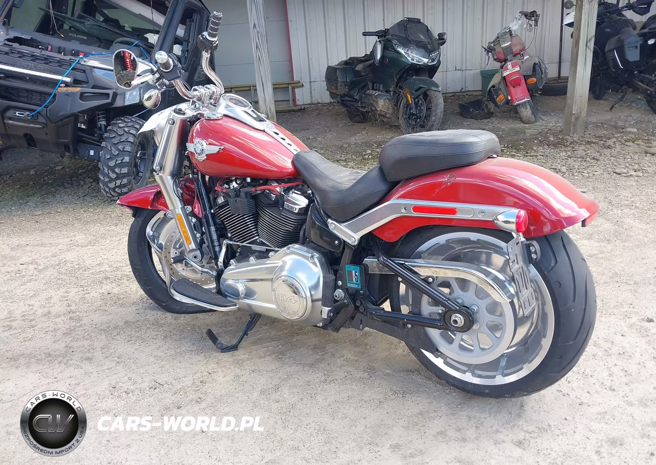 2019 Harley-Davidson Flfbs VIN:1HD1YGK12KC010752 - 3