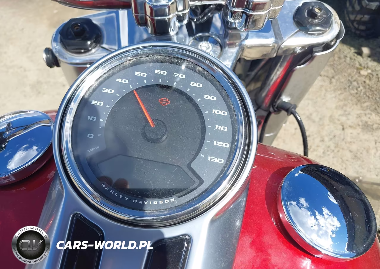 2019 Harley-Davidson Flfbs VIN:1HD1YGK12KC010752 - 7