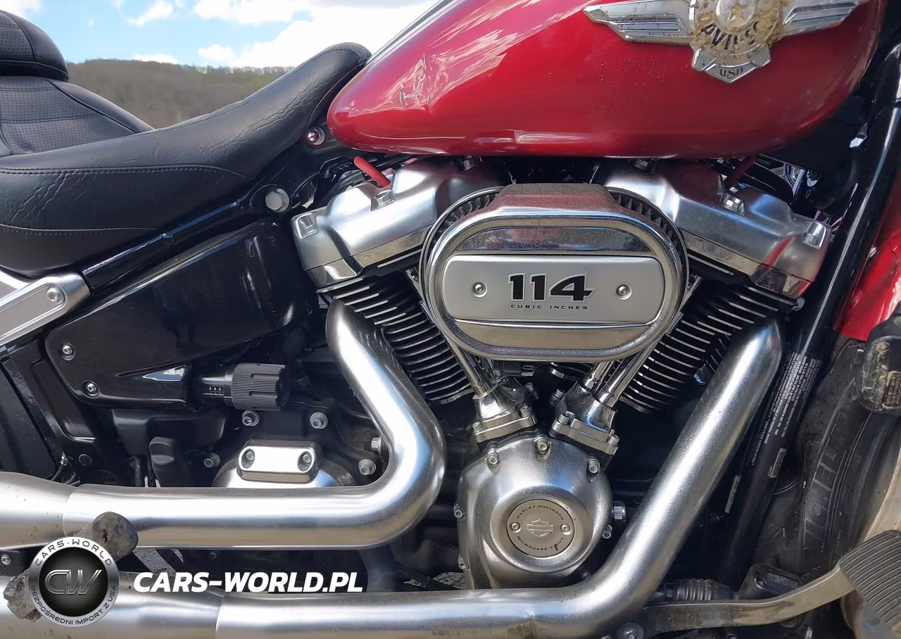 2019 Harley-Davidson Flfbs VIN:1HD1YGK12KC010752 - 8