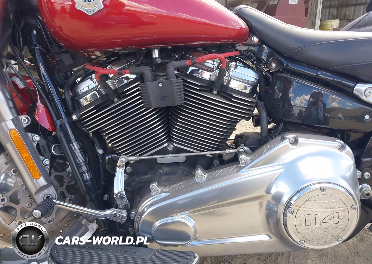2019 Harley-Davidson Flfbs VIN:1HD1YGK12KC010752 - 9