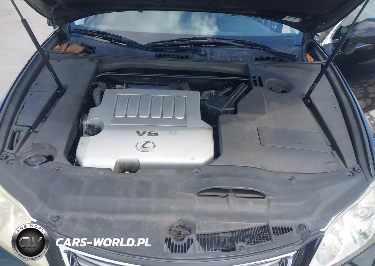 2009 Lexus Es 350 VIN:JTHBJ46G492323792 - 10