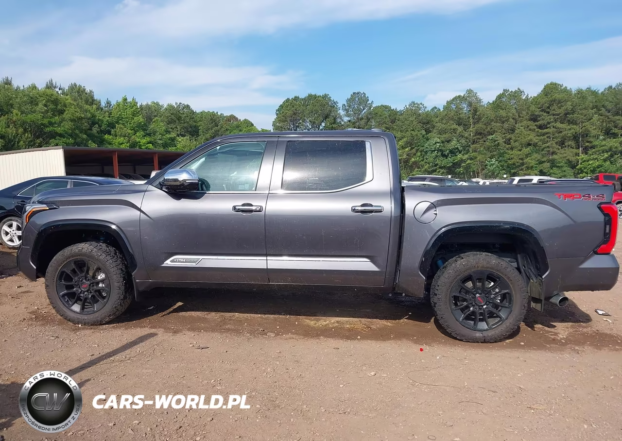2024 Toyota Tundra 1794 Edition VIN:5TFMA5DBXRX160592 - 15