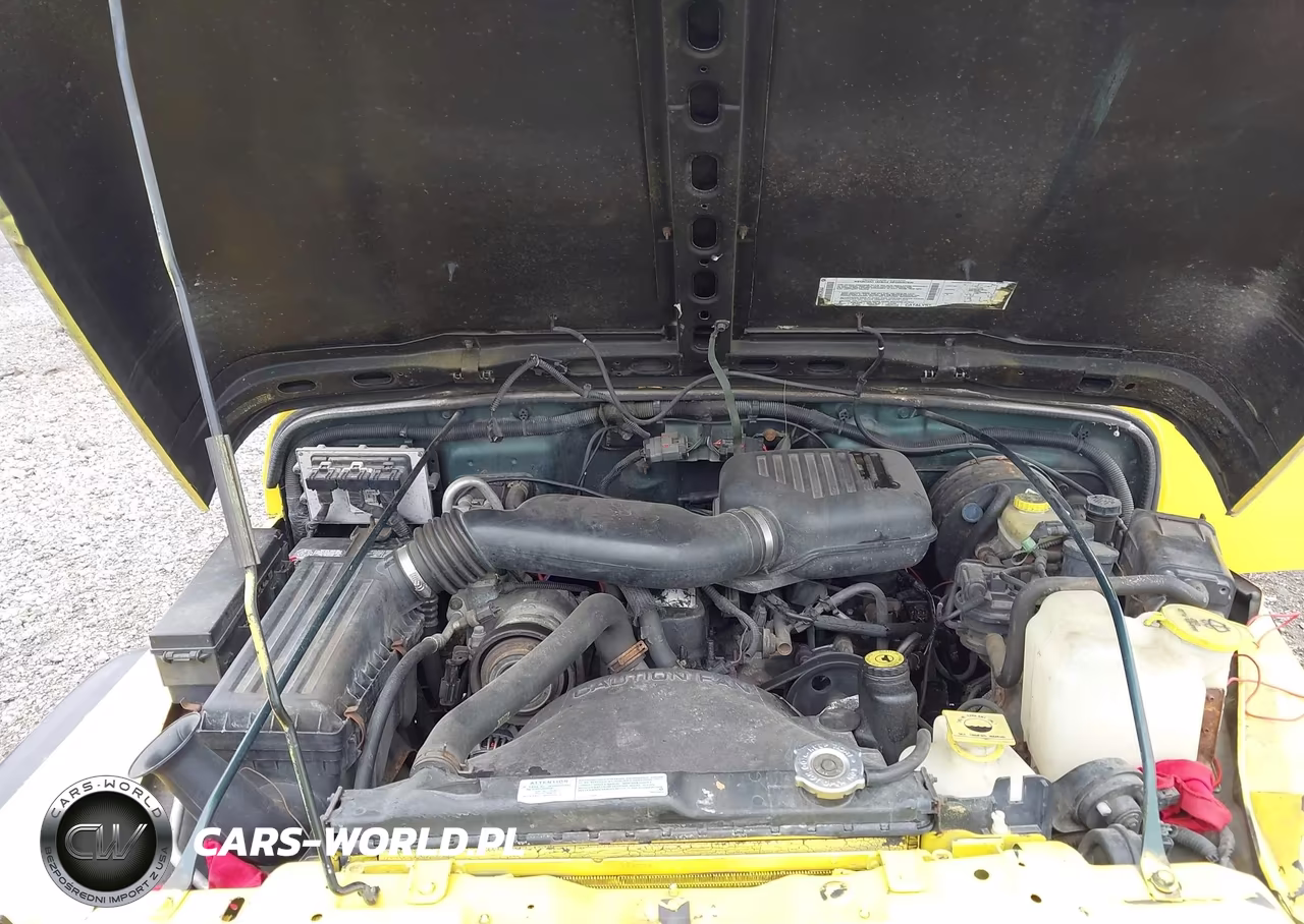 2001 Jeep Wrangler Se VIN:1J4FA29P81P343029 - 10