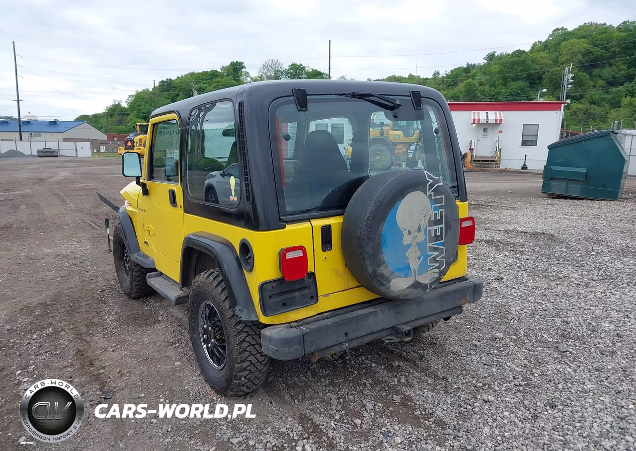2001 Jeep Wrangler Se VIN:1J4FA29P81P343029 - 3