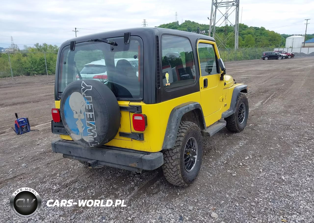 2001 Jeep Wrangler Se VIN:1J4FA29P81P343029 - 4
