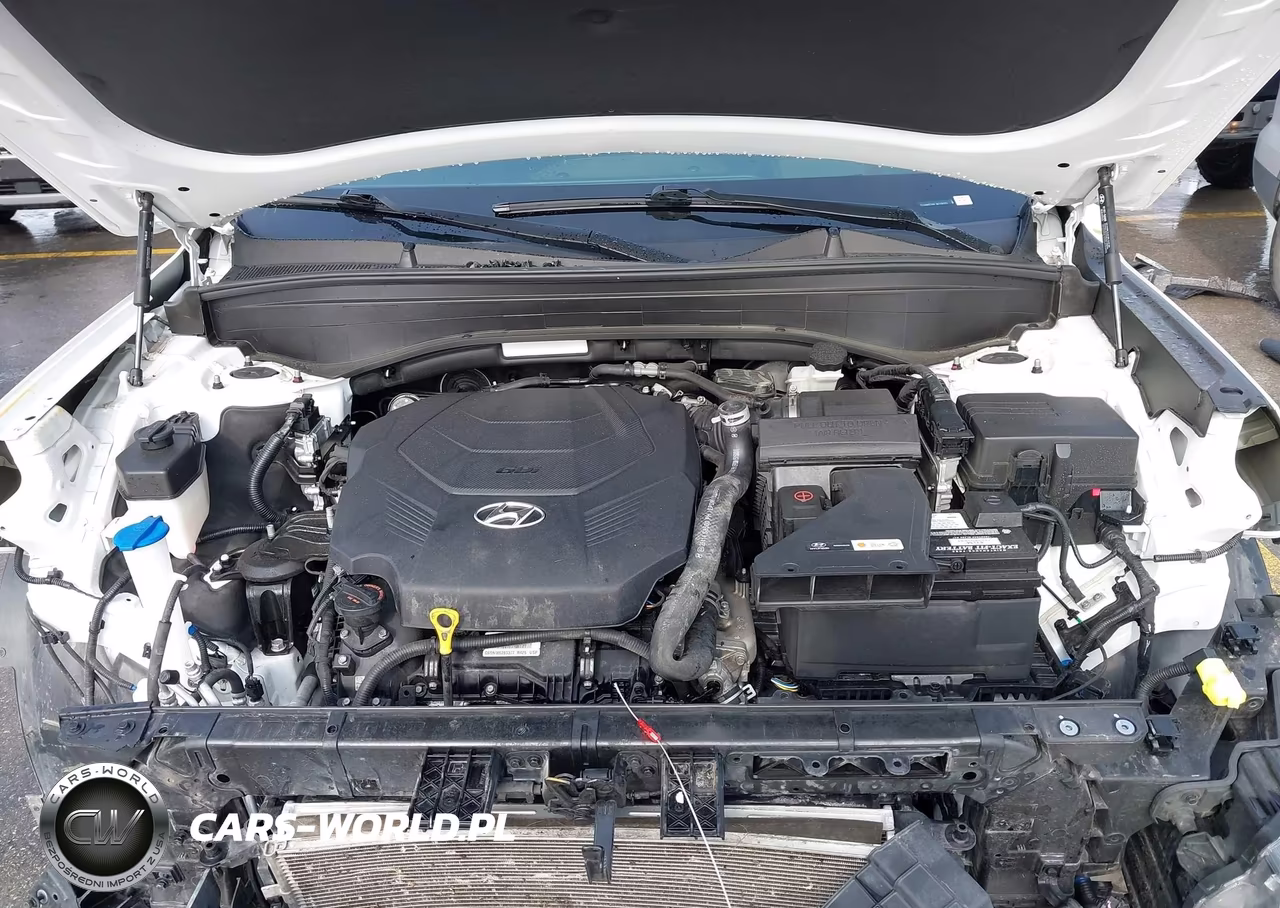 2021 Hyundai Palisade Calligraphy VIN:KM8R74HE1MU288003 - 10