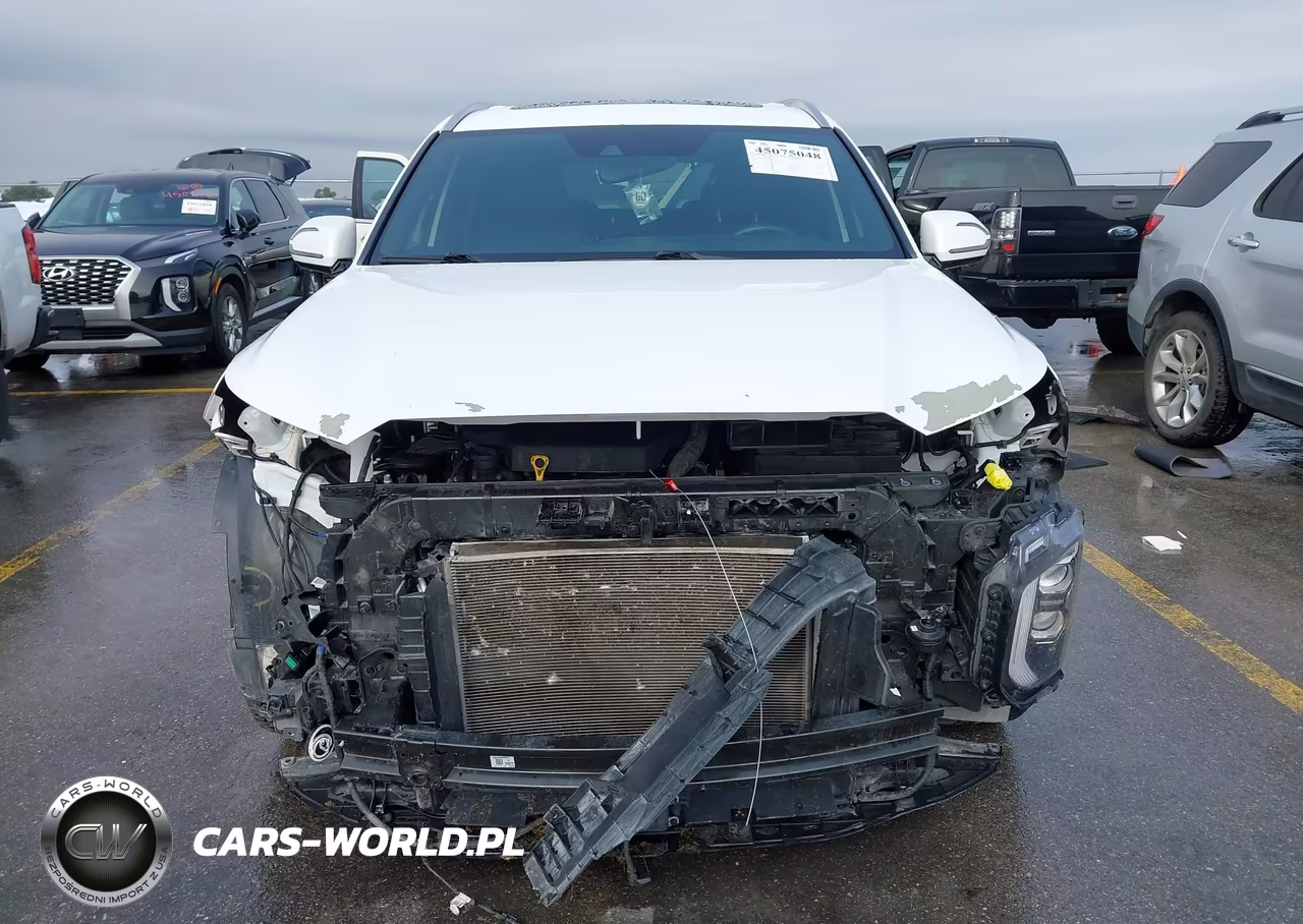 2021 Hyundai Palisade Calligraphy VIN:KM8R74HE1MU288003 - 13