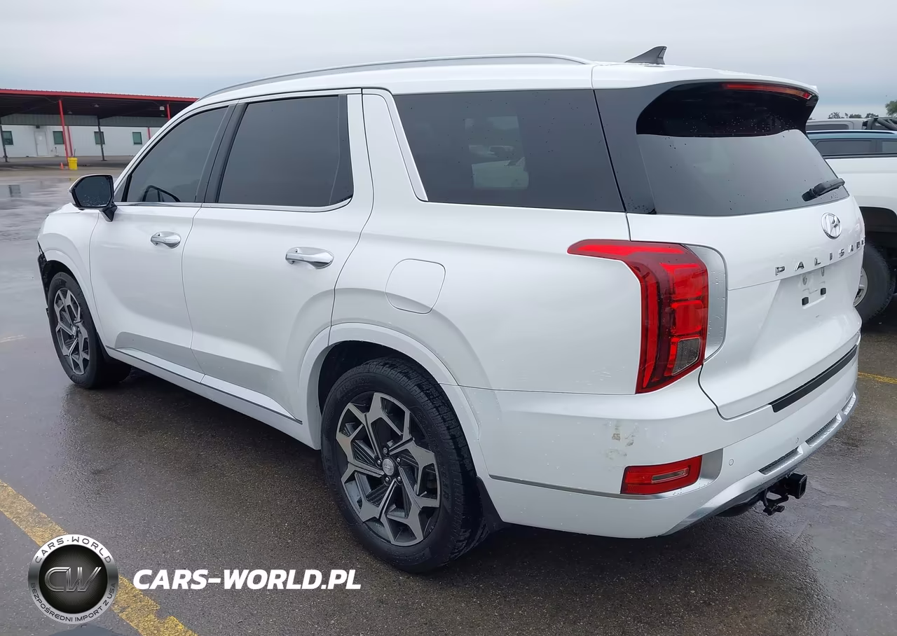2021 Hyundai Palisade Calligraphy VIN:KM8R74HE1MU288003 - 3