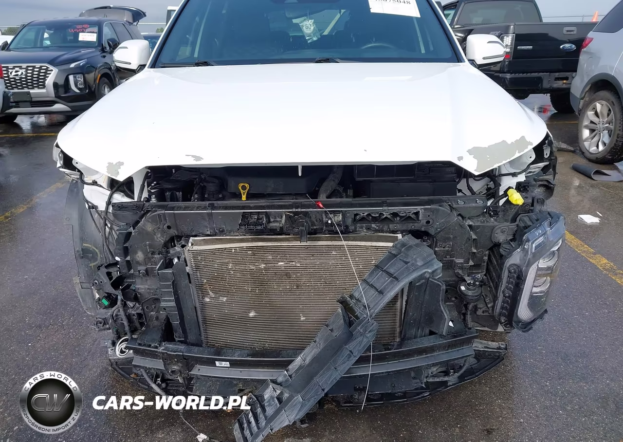 2021 Hyundai Palisade Calligraphy VIN:KM8R74HE1MU288003 - 6
