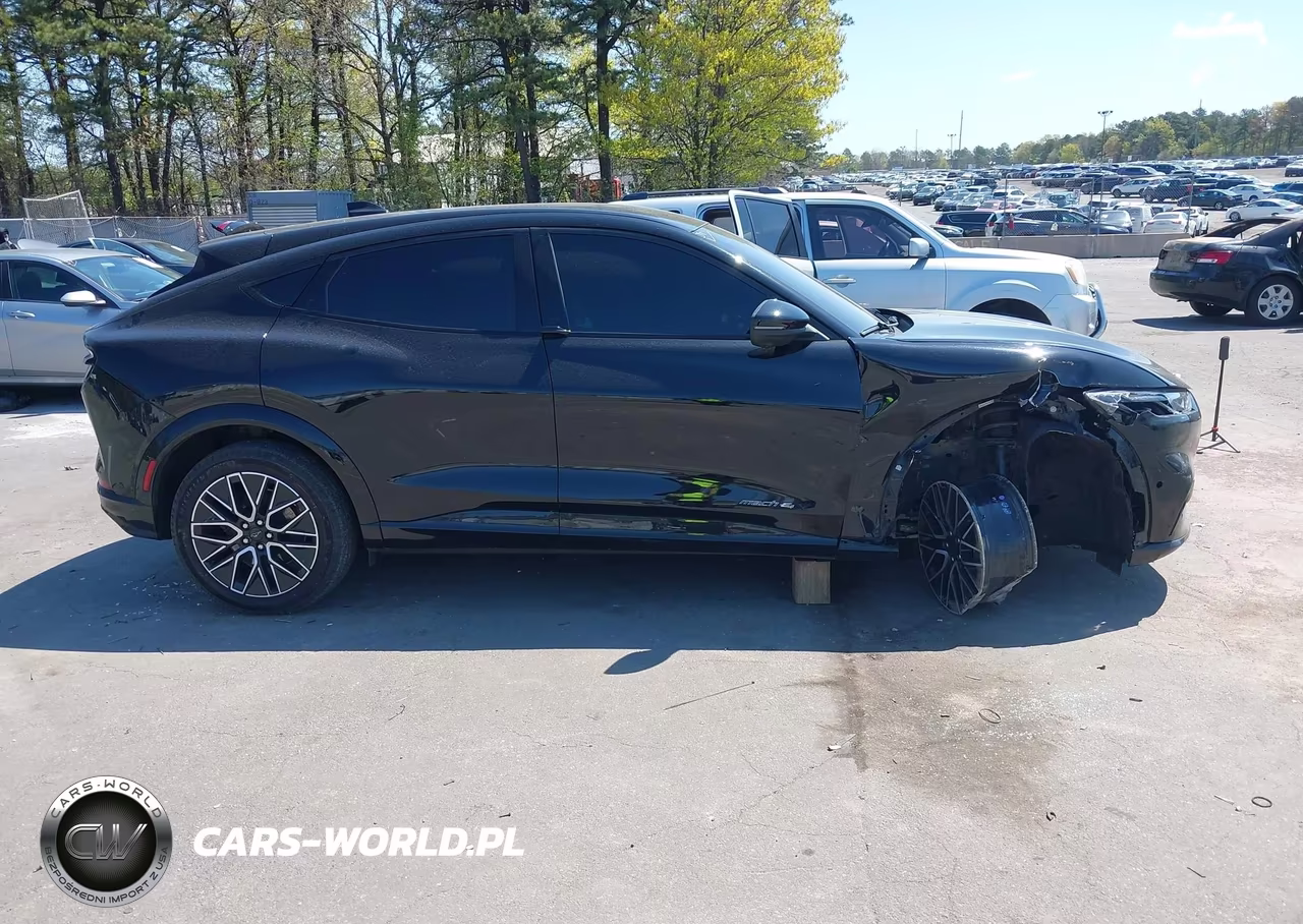 2024 Ford Mustang Mach-E Premium VIN:3FMTK3SU7RMA13696 - 13