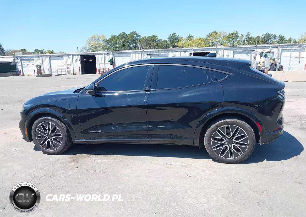 2024 Ford Mustang Mach-E Premium VIN:3FMTK3SU7RMA13696 - 14