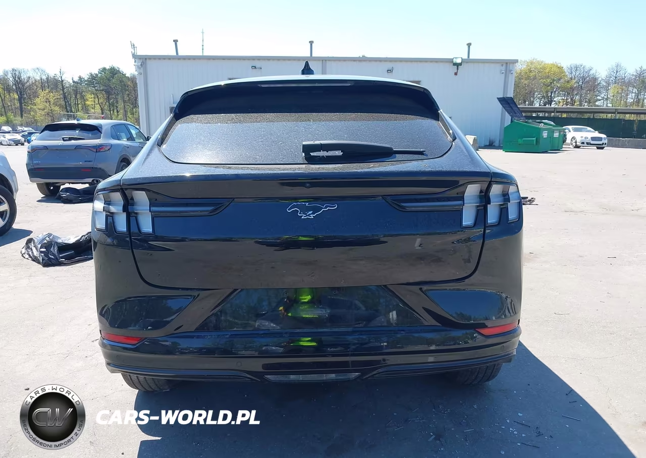 2024 Ford Mustang Mach-E Premium VIN:3FMTK3SU7RMA13696 - 16