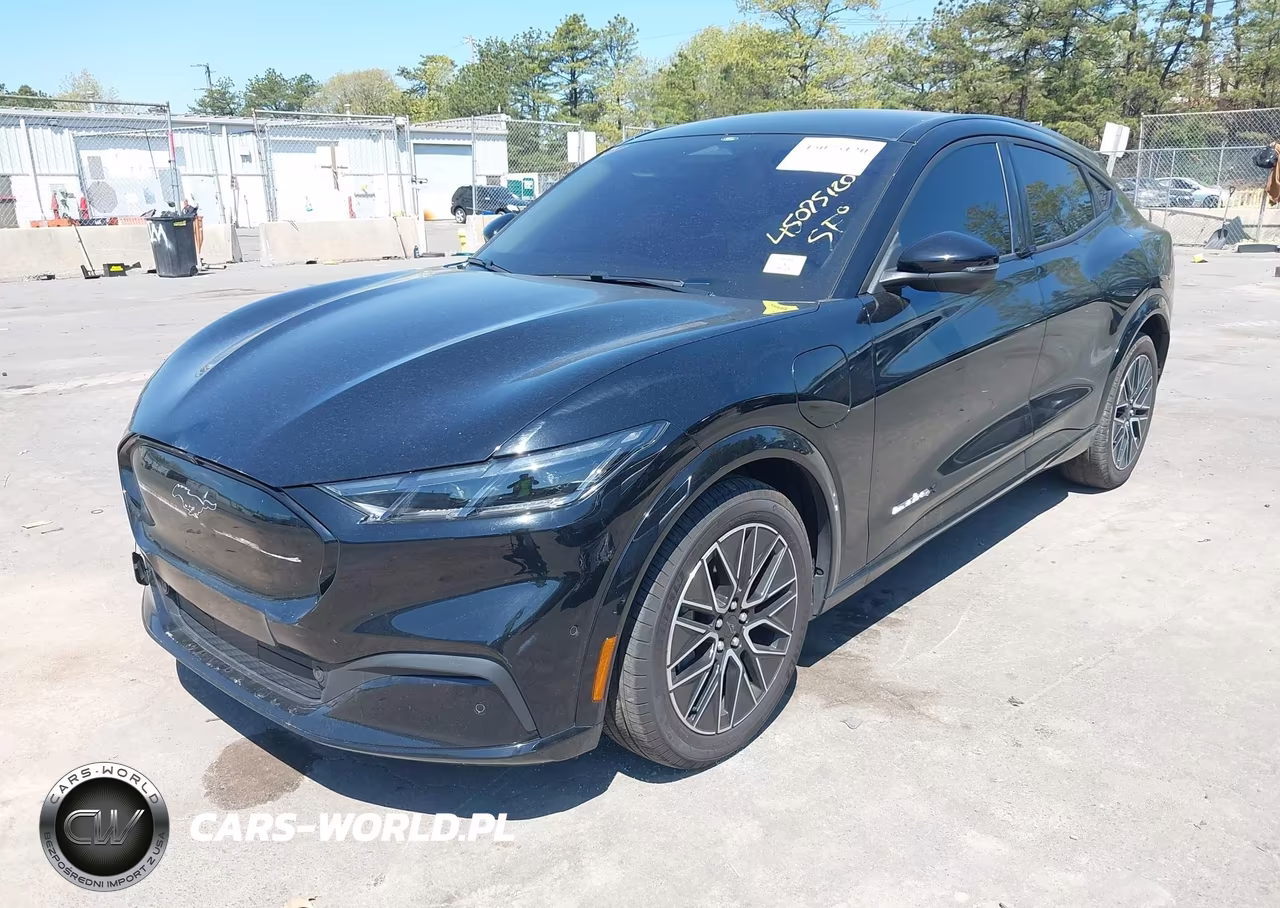 2024 Ford Mustang Mach-E Premium VIN:3FMTK3SU7RMA13696 - 2