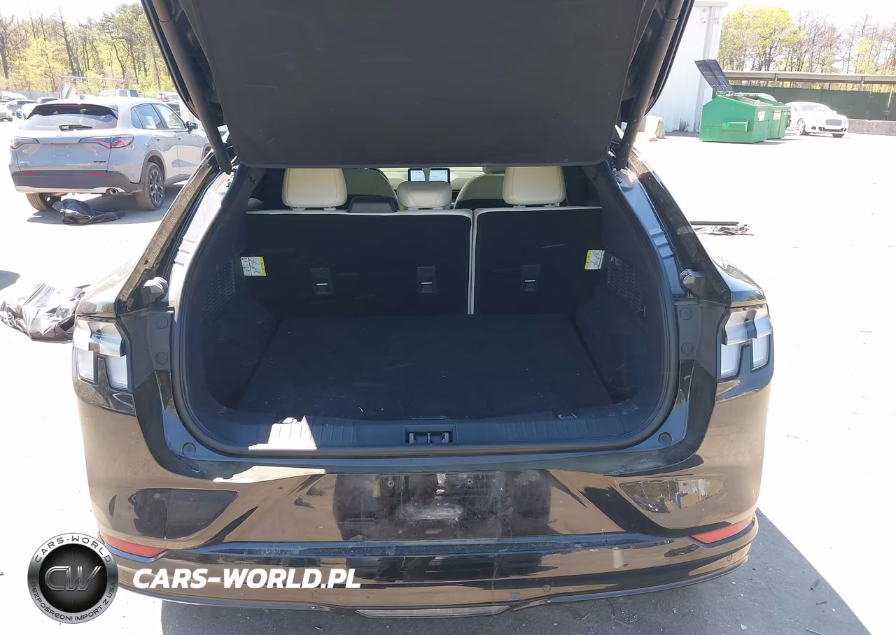 2024 Ford Mustang Mach-E Premium VIN:3FMTK3SU7RMA13696 - 20