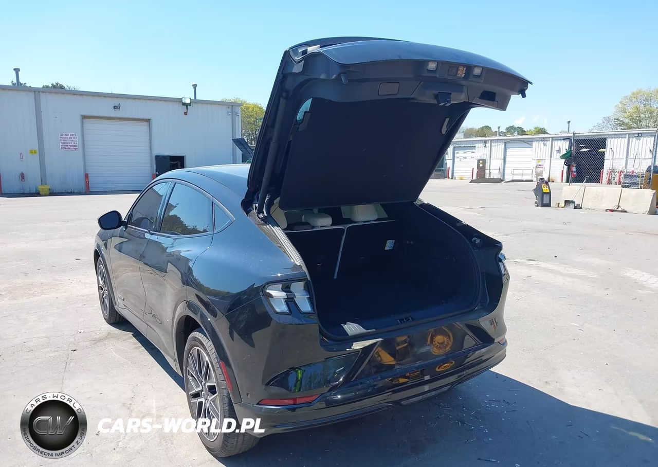 2024 Ford Mustang Mach-E Premium VIN:3FMTK3SU7RMA13696 - 3