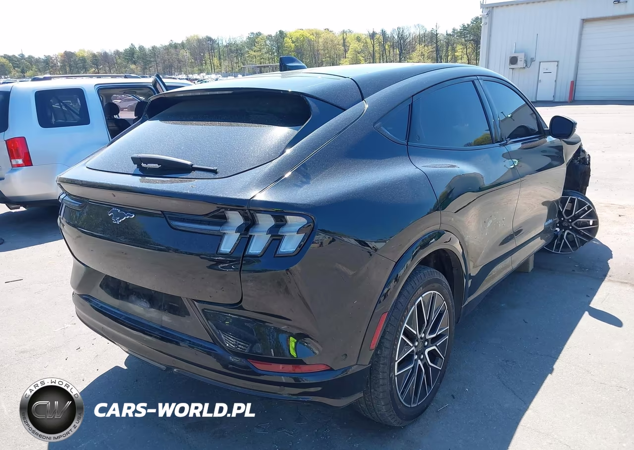 2024 Ford Mustang Mach-E Premium VIN:3FMTK3SU7RMA13696 - 4