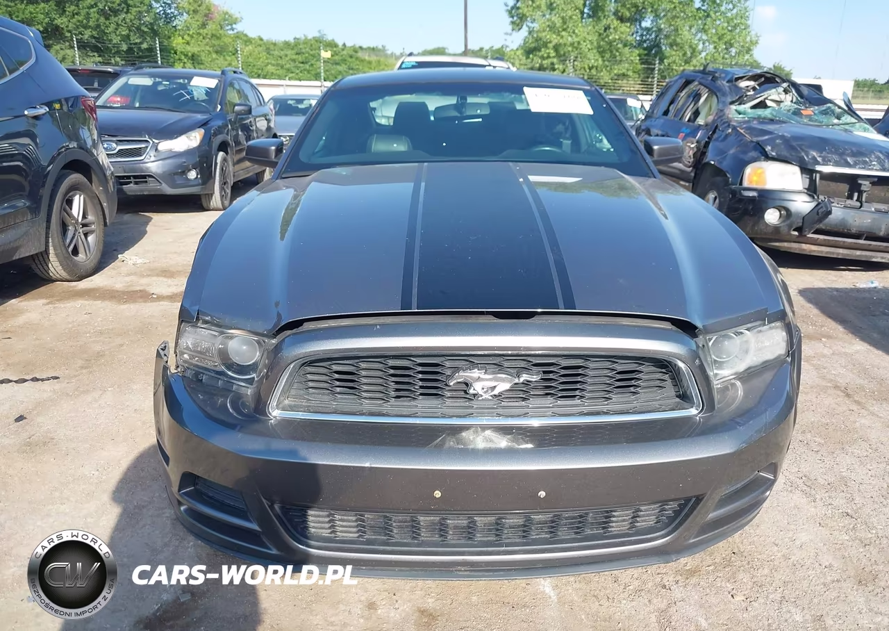 2013 Ford Mustang V6 Premium VIN:1ZVBP8AM9D5251920 - 11