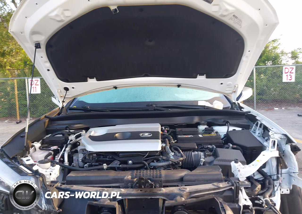 2021 Lexus Ux 200 F Sport VIN:JTHE3JBH8M2041460 - 10