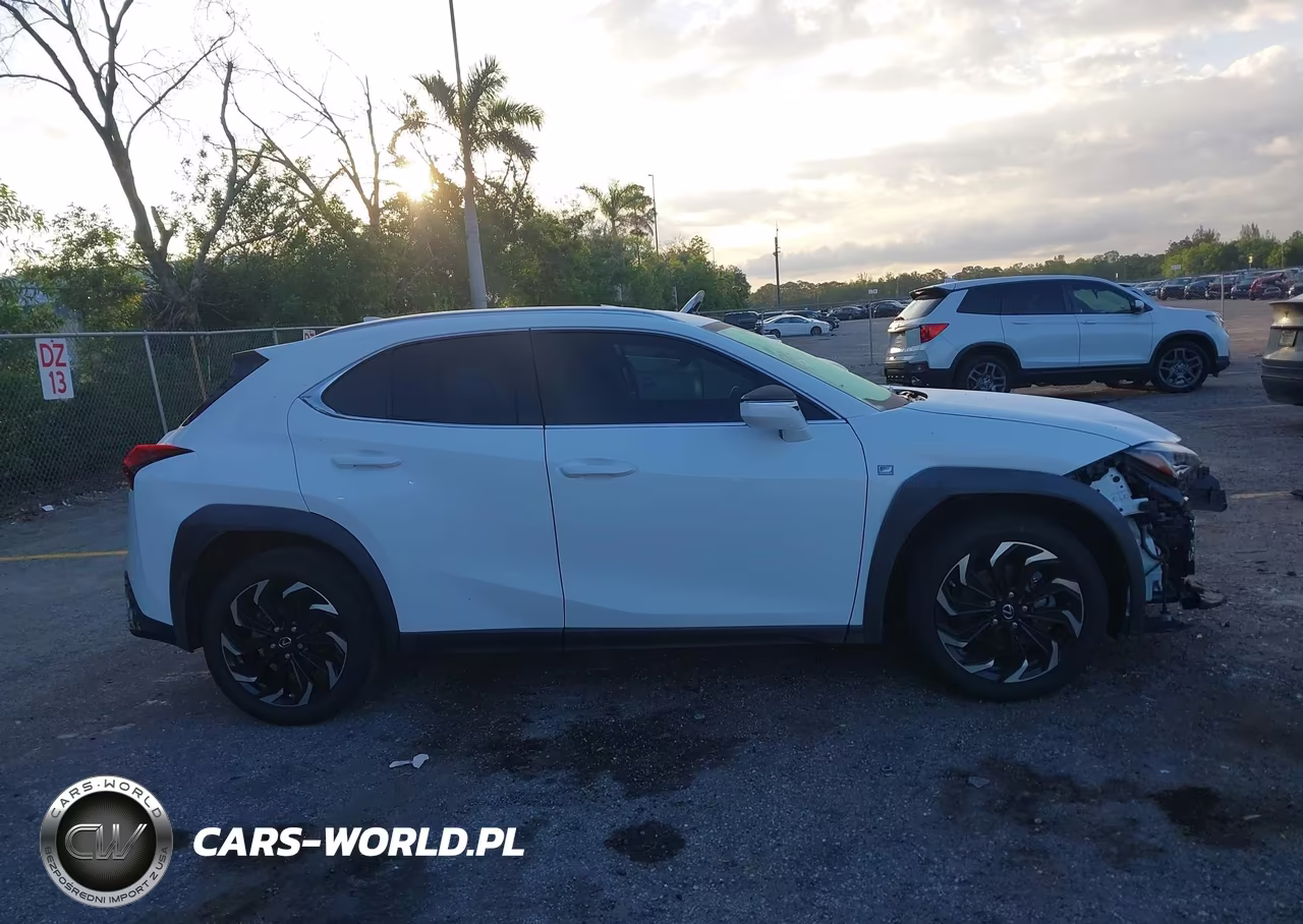 2021 Lexus Ux 200 F Sport VIN:JTHE3JBH8M2041460 - 14