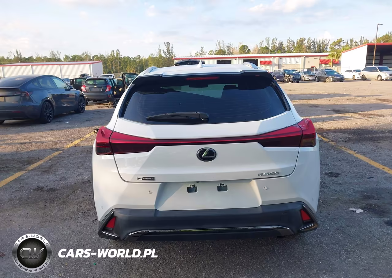 2021 Lexus Ux 200 F Sport VIN:JTHE3JBH8M2041460 - 17