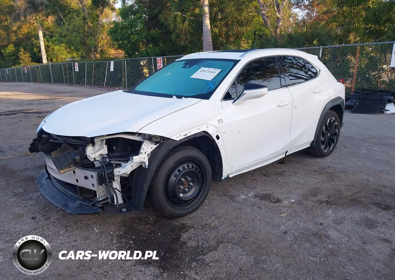 2021 Lexus Ux 200 F Sport VIN:JTHE3JBH8M2041460 - 2