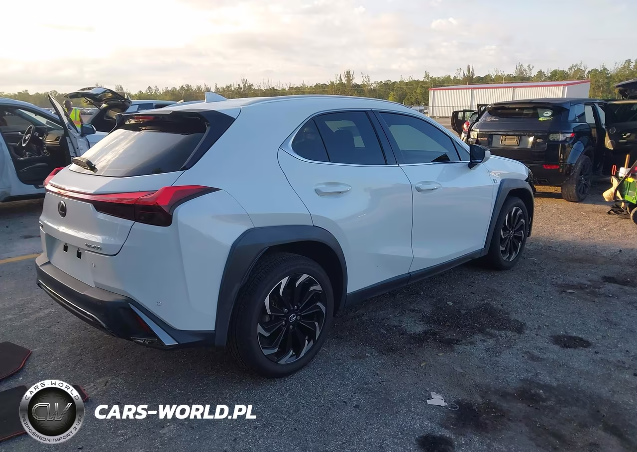 2021 Lexus Ux 200 F Sport VIN:JTHE3JBH8M2041460 - 4