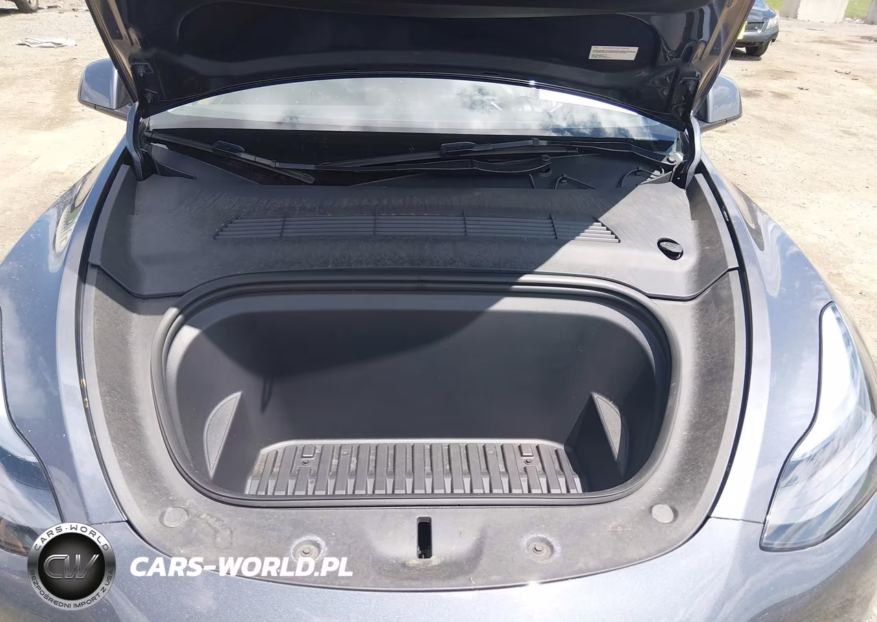 2023 Tesla Model Y Awd-Long Range Dual Motor All-Wheel Drive VIN:7SAYGDEEXPA168167 - 10
