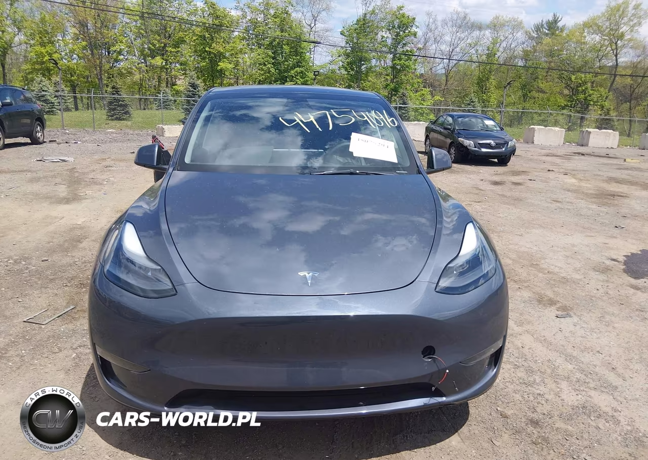2023 Tesla Model Y Awd-Long Range Dual Motor All-Wheel Drive VIN:7SAYGDEEXPA168167 - 12