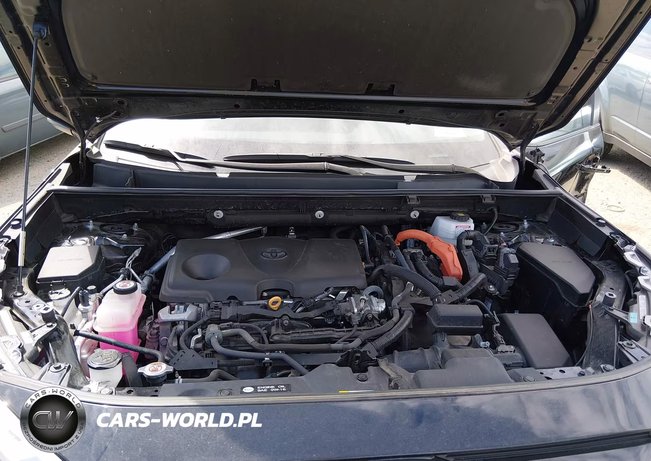 2023 Toyota Rav4 Hybrid Woodland Edition VIN:2T3UWRFV6PW155035 - 10