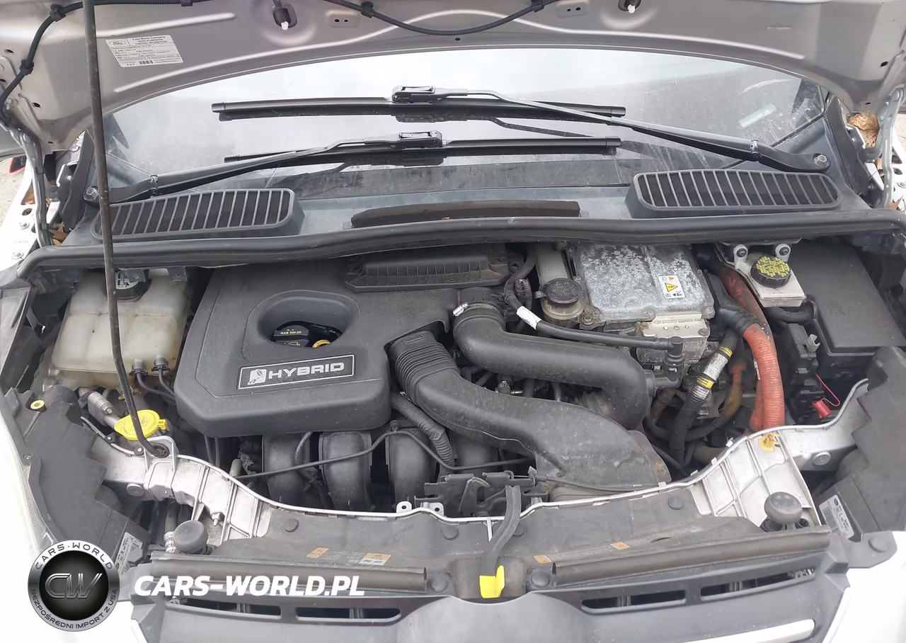 2013 Ford C-Max Hybrid Se VIN:1FADP5AU7DL511694 - 10