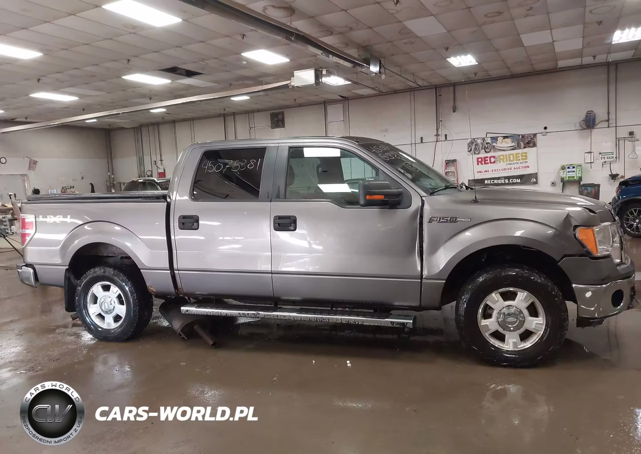 2012 Ford F-150 Xlt VIN:1FTFW1EF2CFA21624 - 13