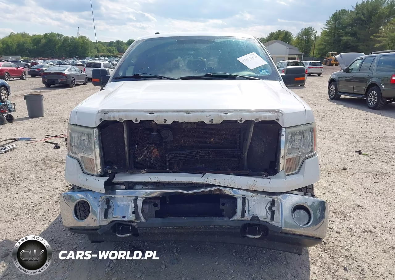 2012 Ford F-150 Xlt VIN:1FTFW1EF8CFB11554 - 12